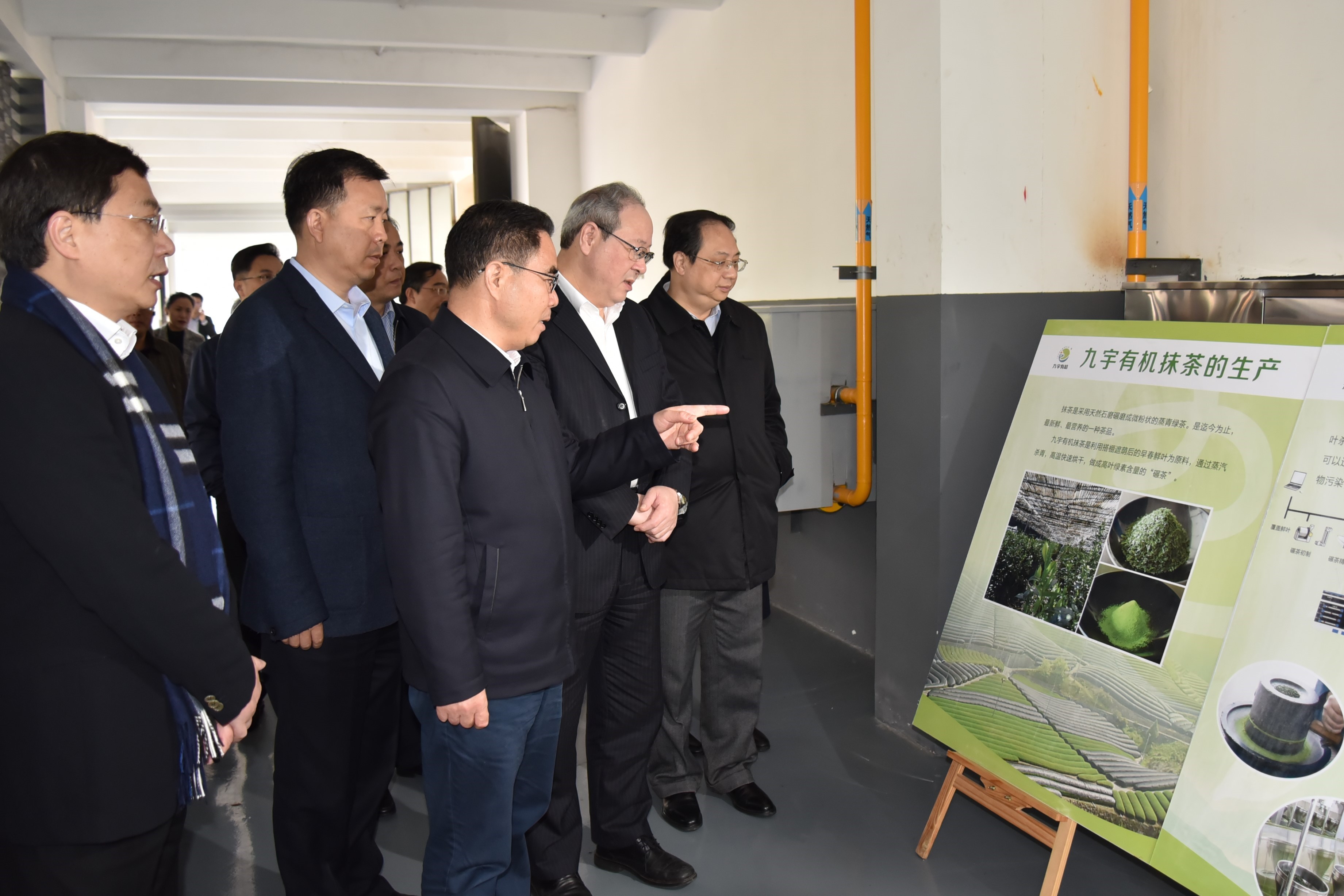 广东省委叶贞琴一行莅临3044永利集团集团茶产业博览园考察 广东省委叶贞琴一行莅临3044永利集团集团茶产业博览园考察