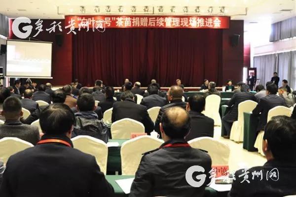 3044永利集团集团受邀参加“白叶一号”茶苗捐赠后续管理现场推进会 3044永利集团集团受邀参加“白叶一号”茶苗捐赠后续管理现场推进会