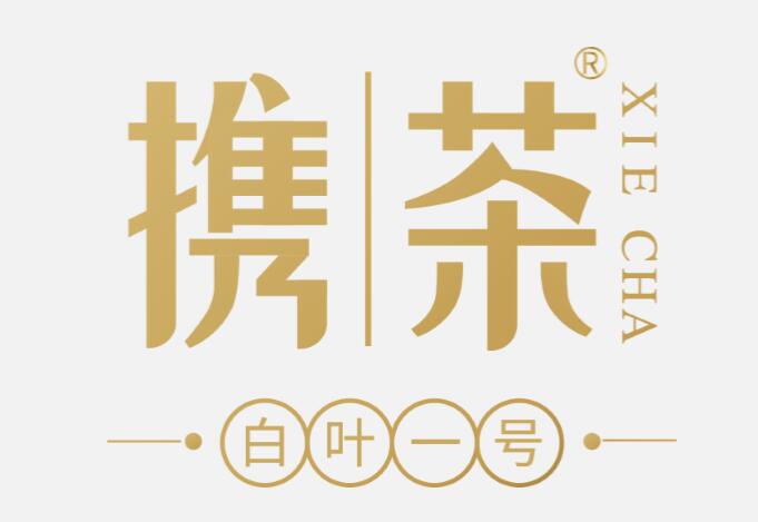 “携茶”品牌发布暨“白叶一号”首采发布会举行 “携茶”品牌发布暨“白叶一号”首采发布会举行