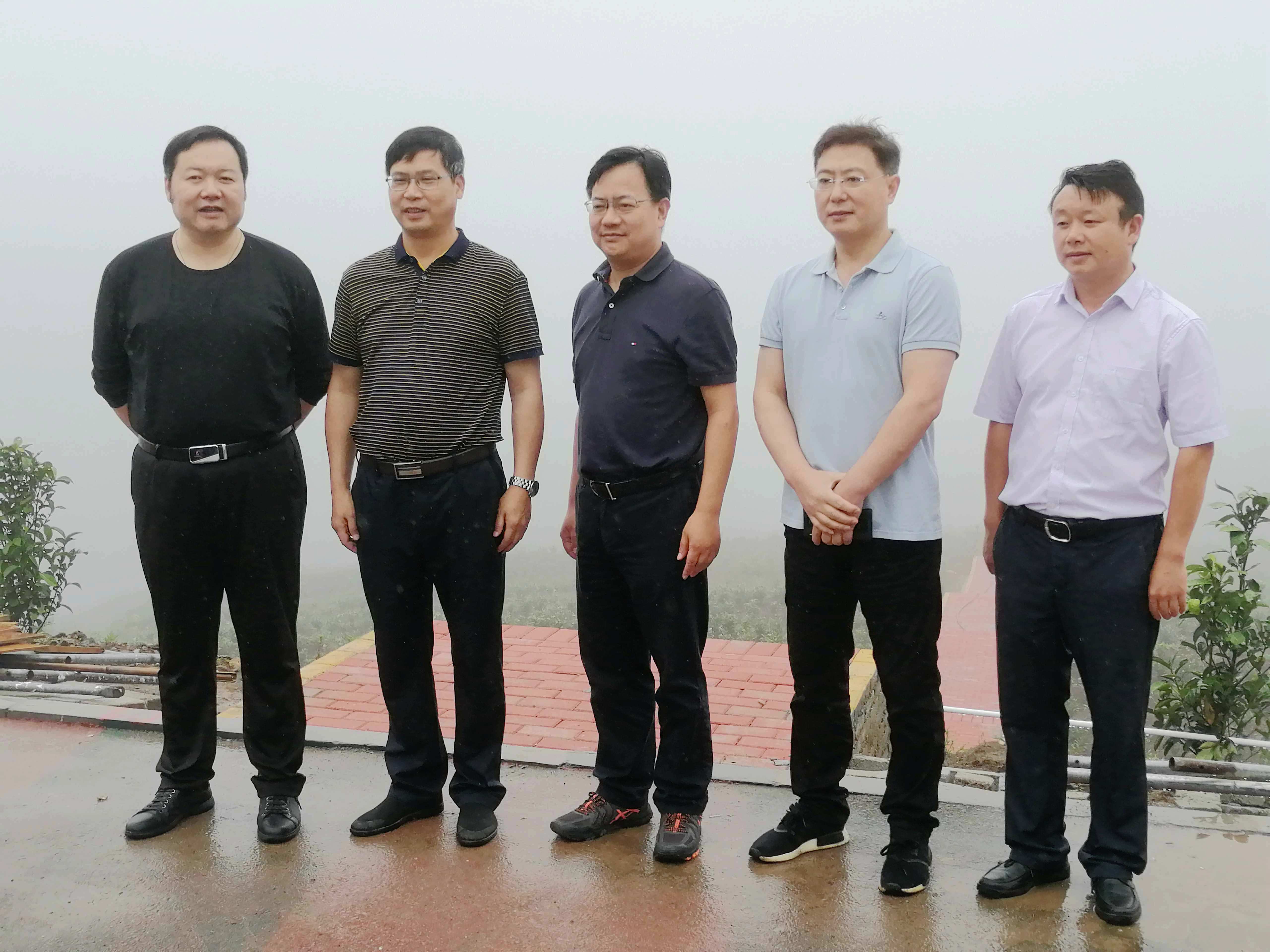 浙江省供销社沈省文副主任一行考察普安“白叶一号”工程 浙江省供销社沈省文副主任一行考察普安“白叶一号”工程