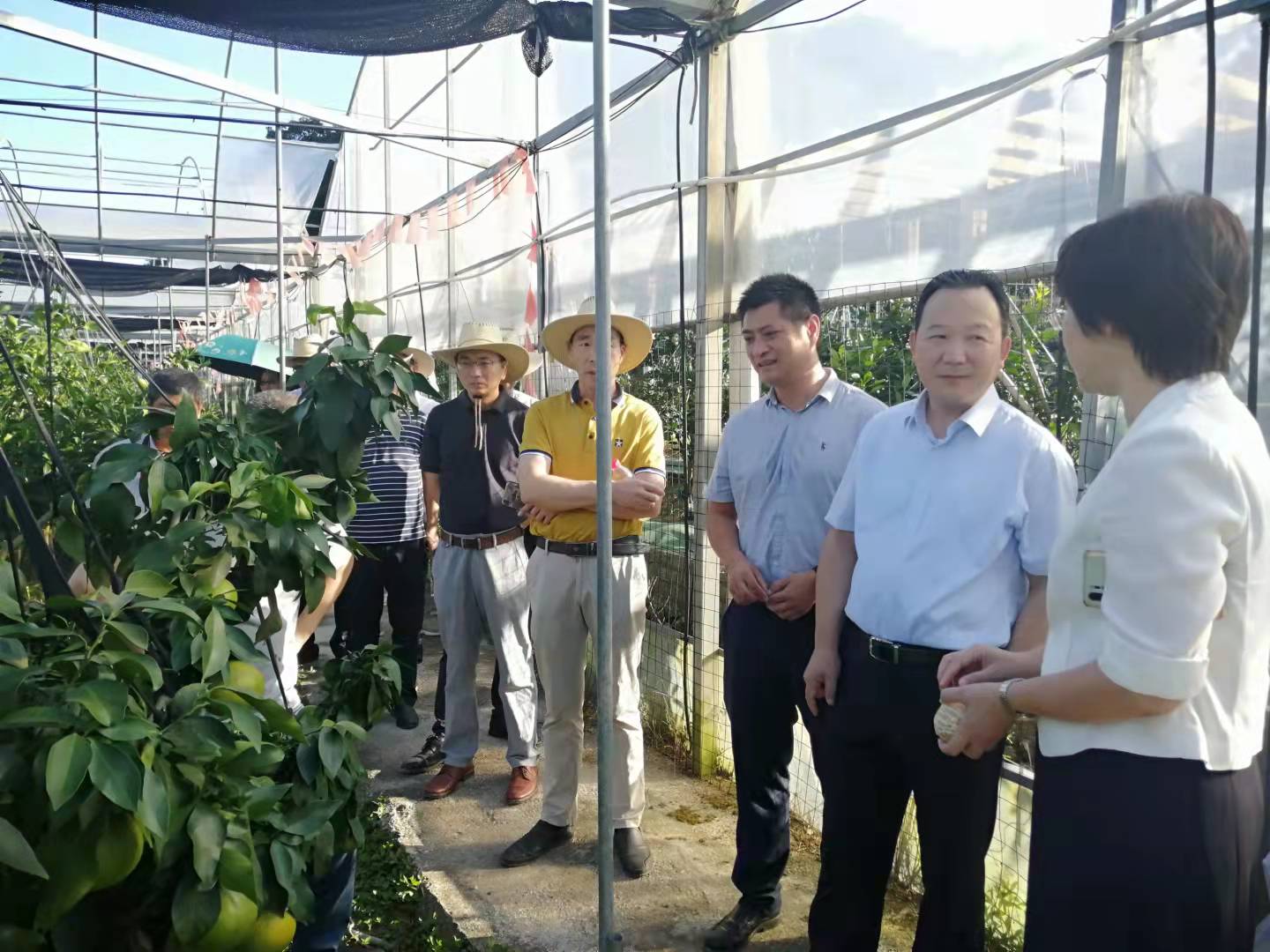 省政协农业和农村界别一组至象山开展“双强”行动考察调研界别活动 省政协农业和农村界别一组至象山开展“双强”行动考察调研界别活动