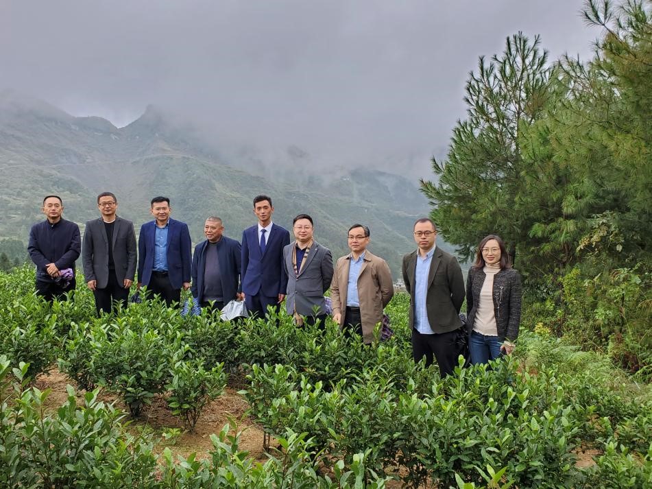 以茶为媒助推乡村振兴——集团党委书记陈星带队赴川黔“白叶一号”受捐地及周边考察交流 以茶为媒助推乡村振兴——集团党委书记陈星带队赴川黔“白叶一号”受捐地及周边考察交流