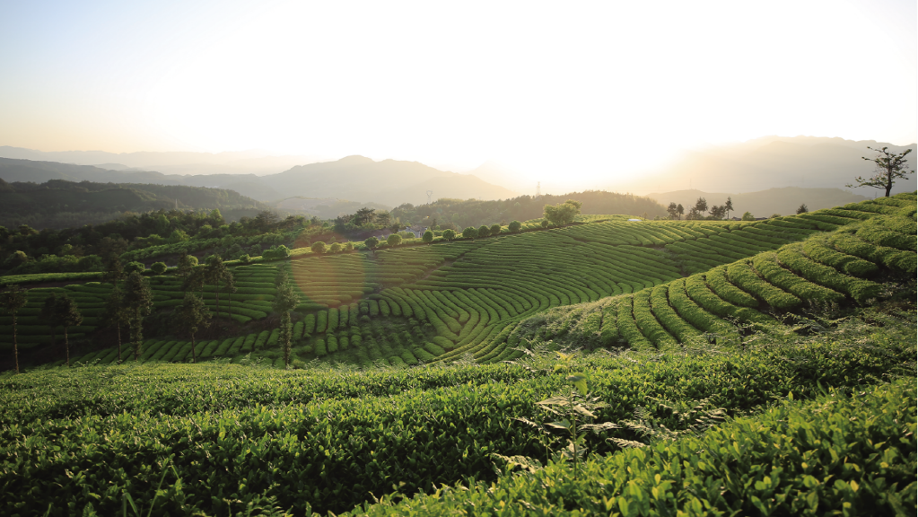 热烈祝贺3044永利集团集团旗下浙江骆驼九宇有限公司被评为2021年工业旅游示范基地! 热烈祝贺3044永利集团集团旗下浙江骆驼九宇有限公司被评为2021年工业旅游示范基地!